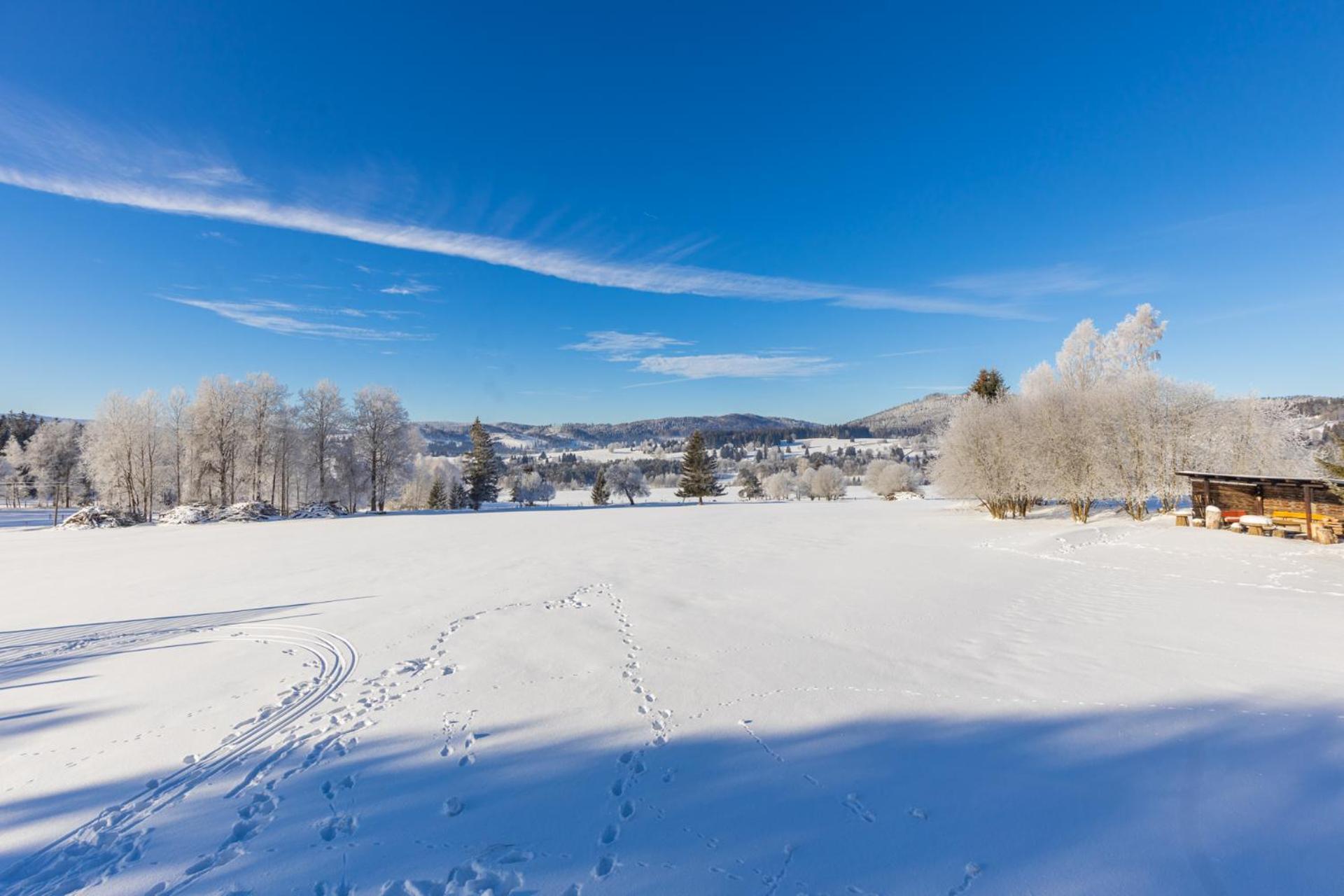 Penzion Chlustov สตราชนี ภายนอก รูปภาพ